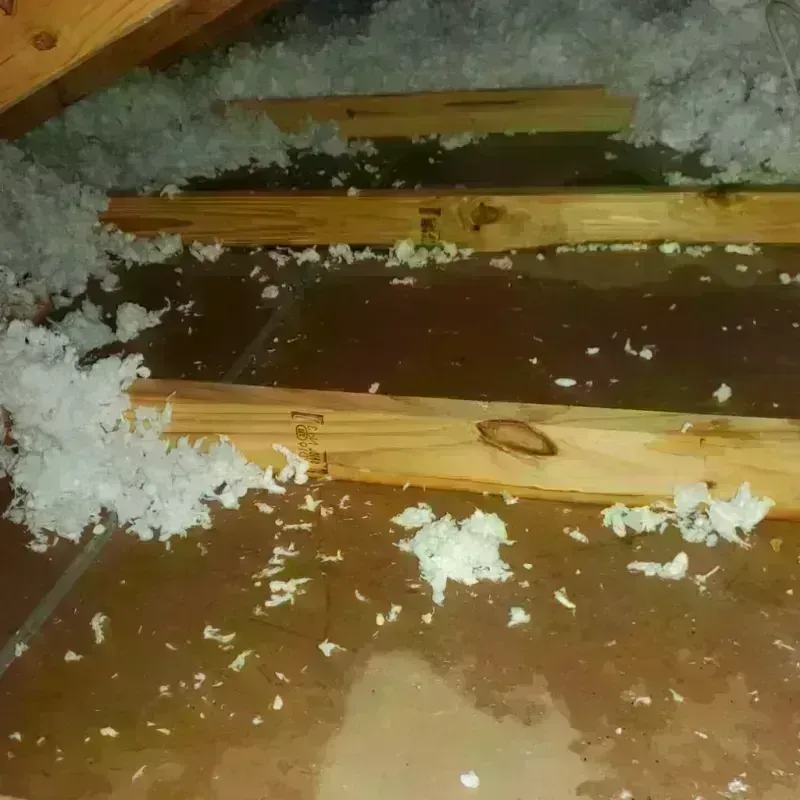 Attic Water Damage in Smithfield, VA